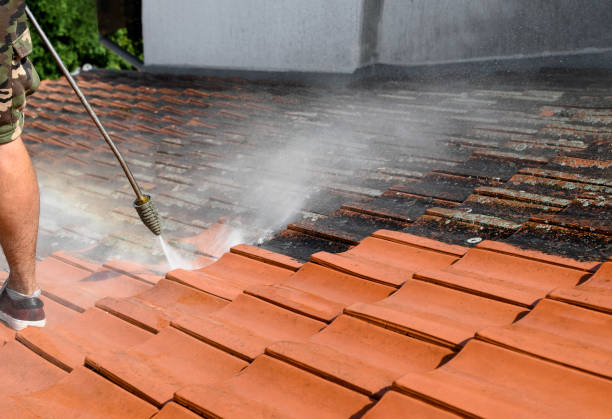 Best House Pressure Washing  in Sterling, IL