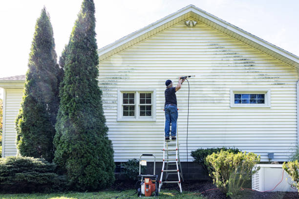 Best Exterior Home Cleaning  in Sterling, IL